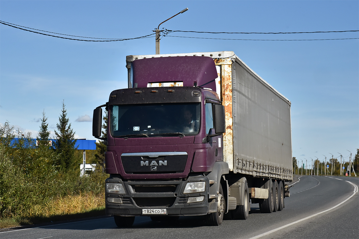 Воронежская область, № Т 824 СО 36 — MAN TGS 19.400