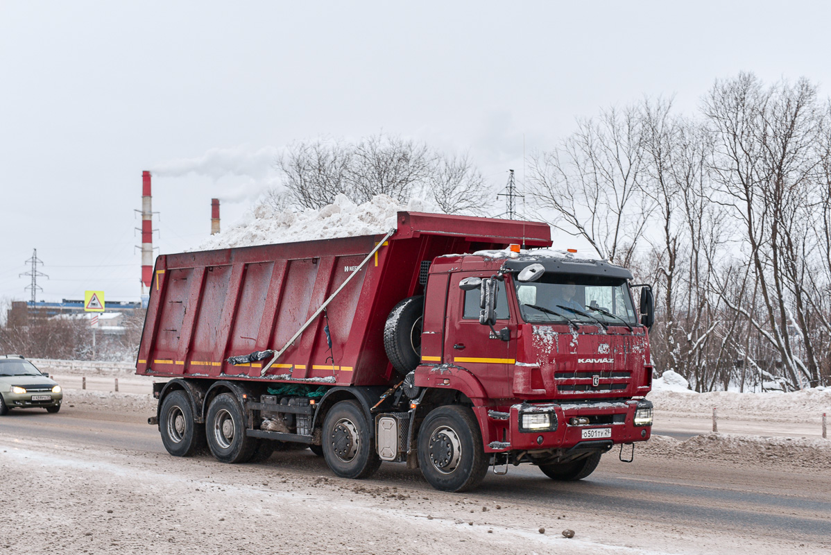 Архангельская область, № О 501 ТУ 29 — КамАЗ-65201-B5(49)