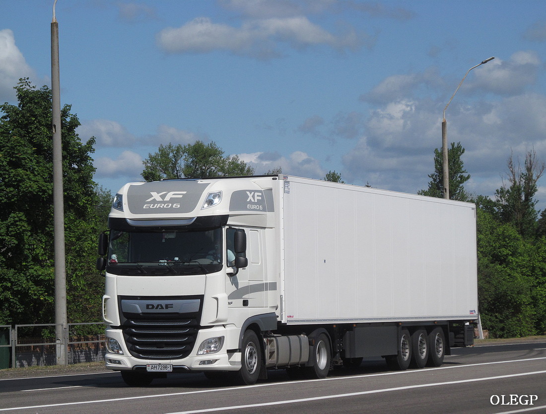 Брестская область, № АН 7288-1 — DAF XF Euro6 FT