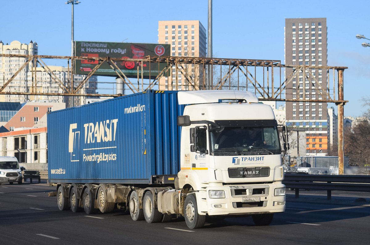 Приморский край, № Х 539 ХА 125 — КамАЗ-5490-S5(87)