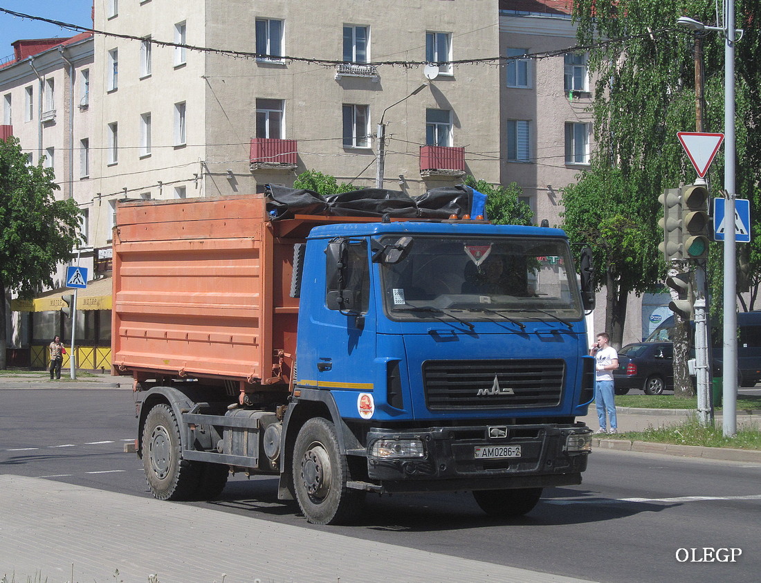 Витебская область, № АМ 0286-2 — МАЗ-5550 (общая модель)