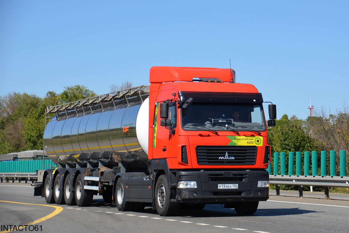 Воронежская область, № Р 134 ЕК 136 — МАЗ-5440E8