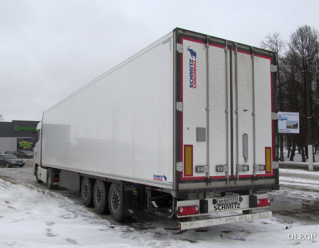 Смоленская область, № АМ 6651 67 — Schmitz Cargobull S.KO (SCB*S3B) общ.мод