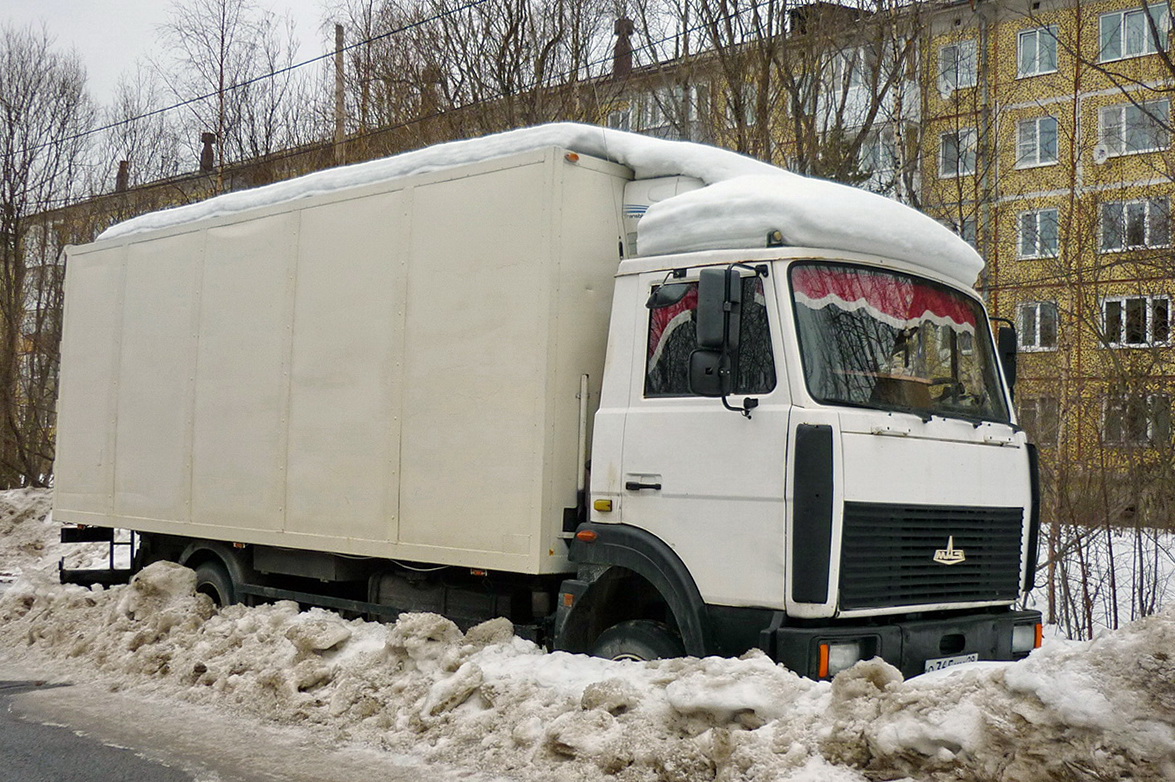 Архангельская область, № О 365 КМ 29 — МАЗ-437041
