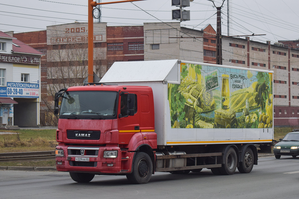 Алтайский край, № У 229 ХВ 22 — КамАЗ-65208-S5(87)