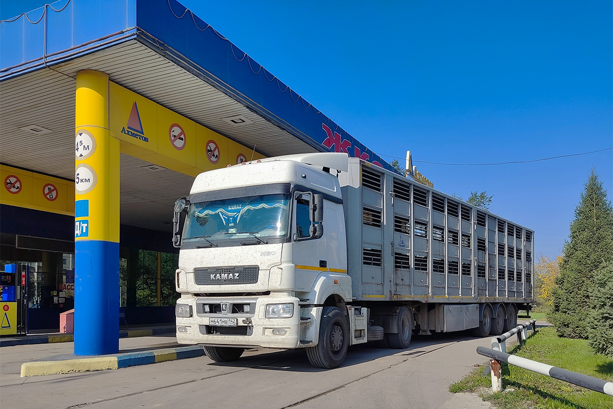 Кемеровская область, № М 641 МВ 142 — КамАЗ-5490-S5(87)