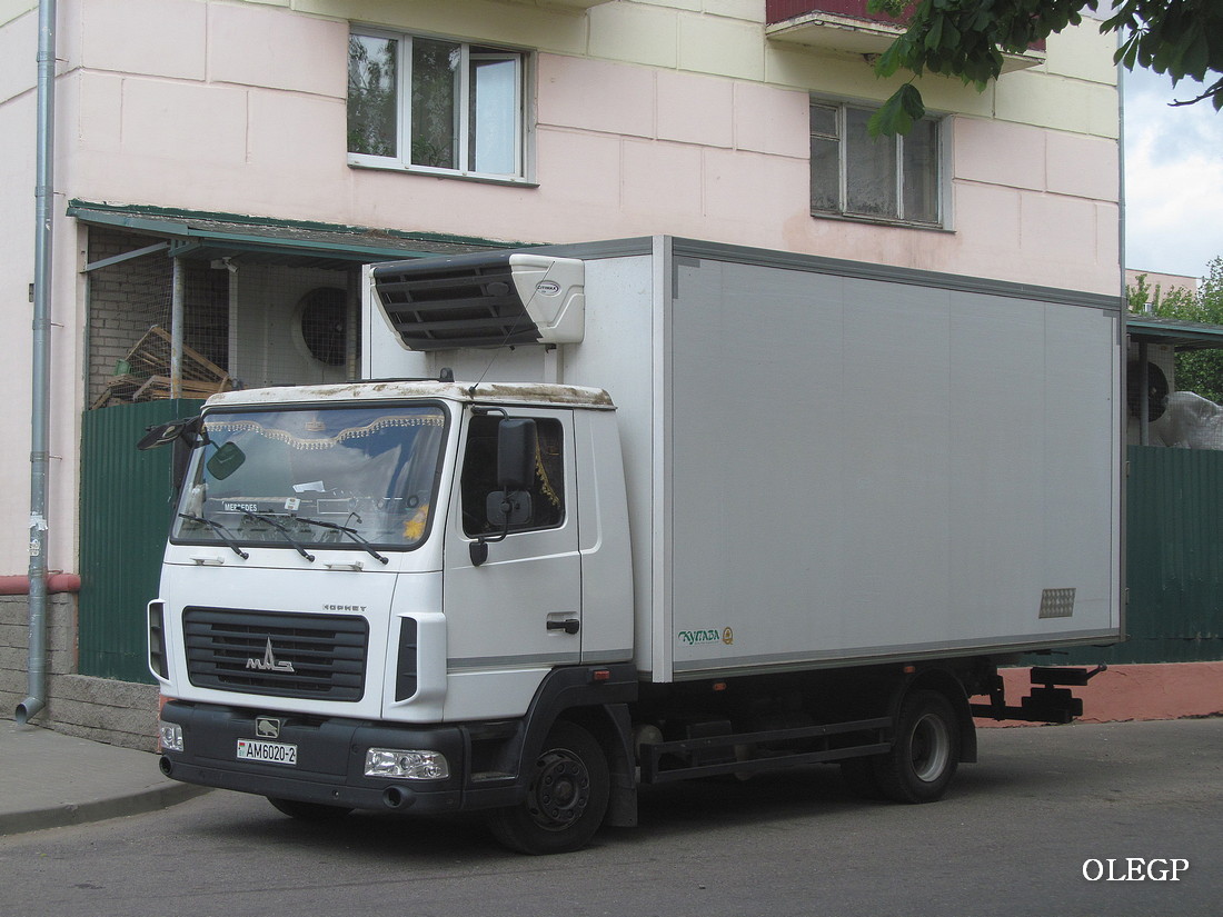Витебская область, № АМ 6020-2 — МАЗ-4371 (общая модель)