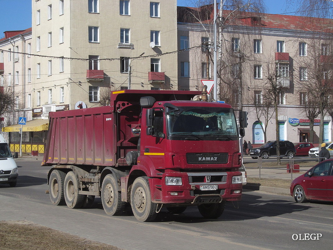 Витебская область, № АМ 5790-2 — КамАЗ-65801-T5(68)