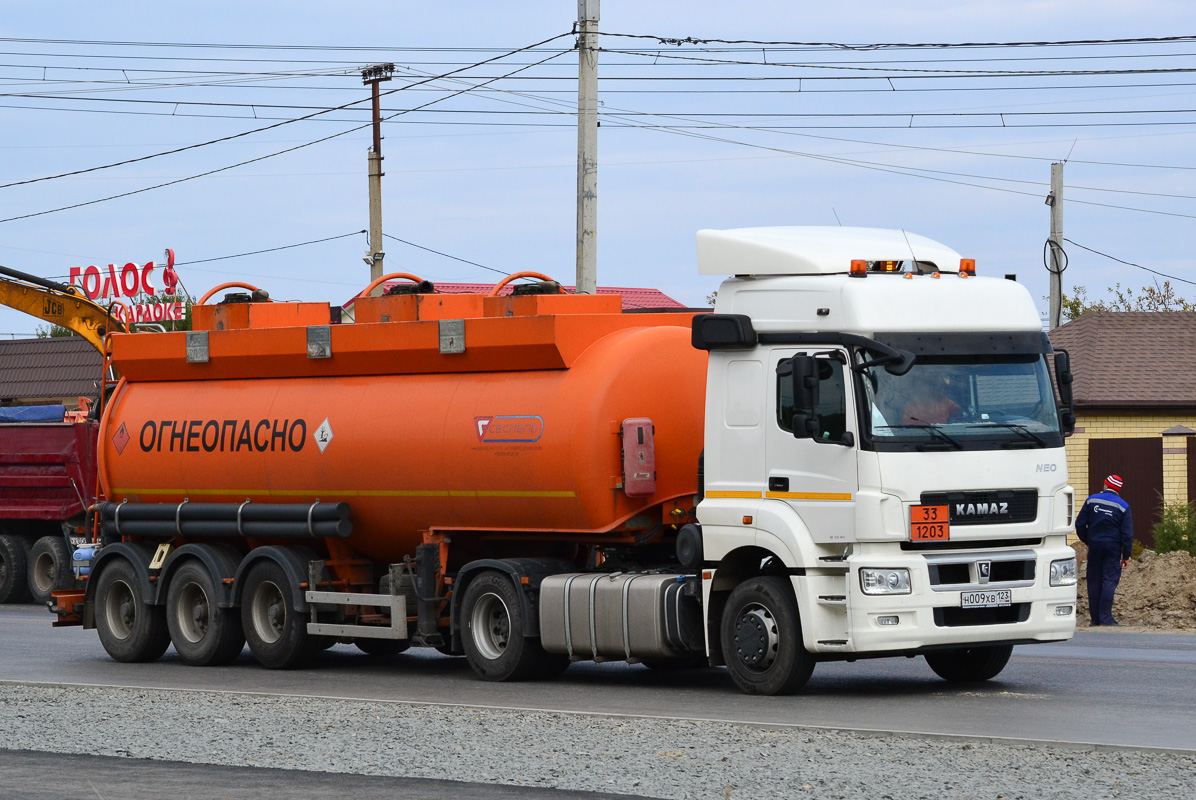 Краснодарский край, № Н 009 ХВ 123 — КамАЗ-5490-S5(87)