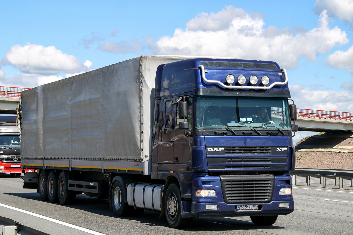 Краснодарский край, № А 388 СР 123 — DAF XF95 FT