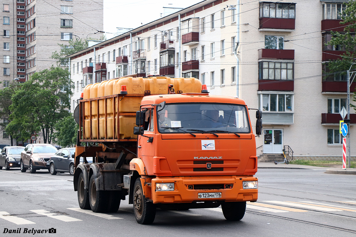 Санкт-Петербург, № В 123 МН 178 — КамАЗ-65115-D3(97)