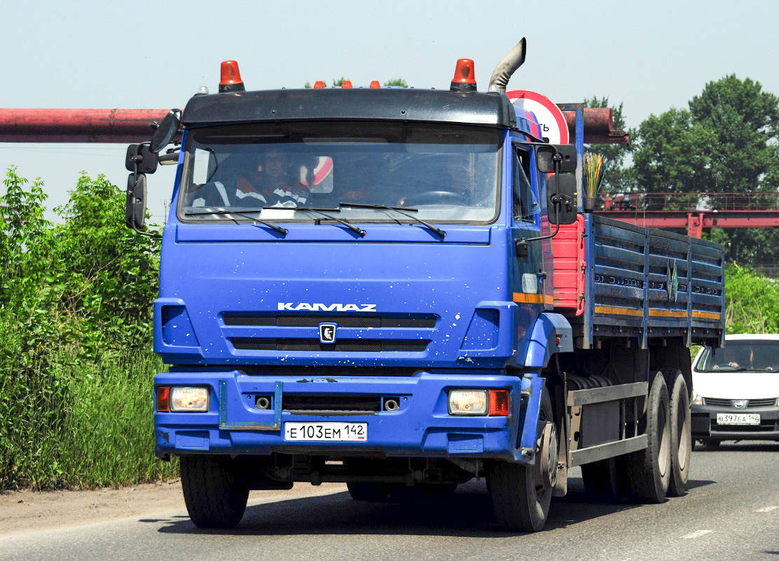 Кемеровская область, № Е 103 ЕМ 142 — КамАЗ-65117-A4(23)