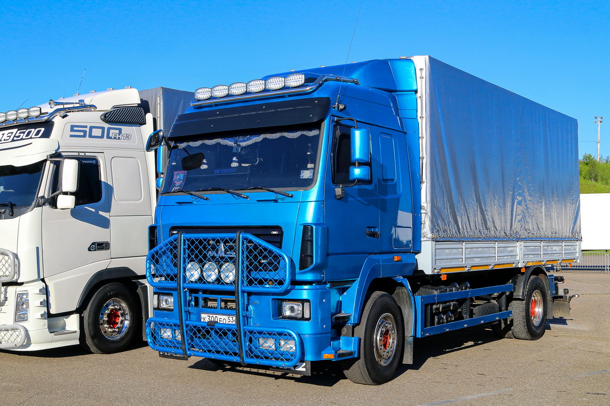 Новгородская область, № К 300 ЕО 53 — МАЗ-5340A5; Московская область — Фестиваль TruckDay 2024