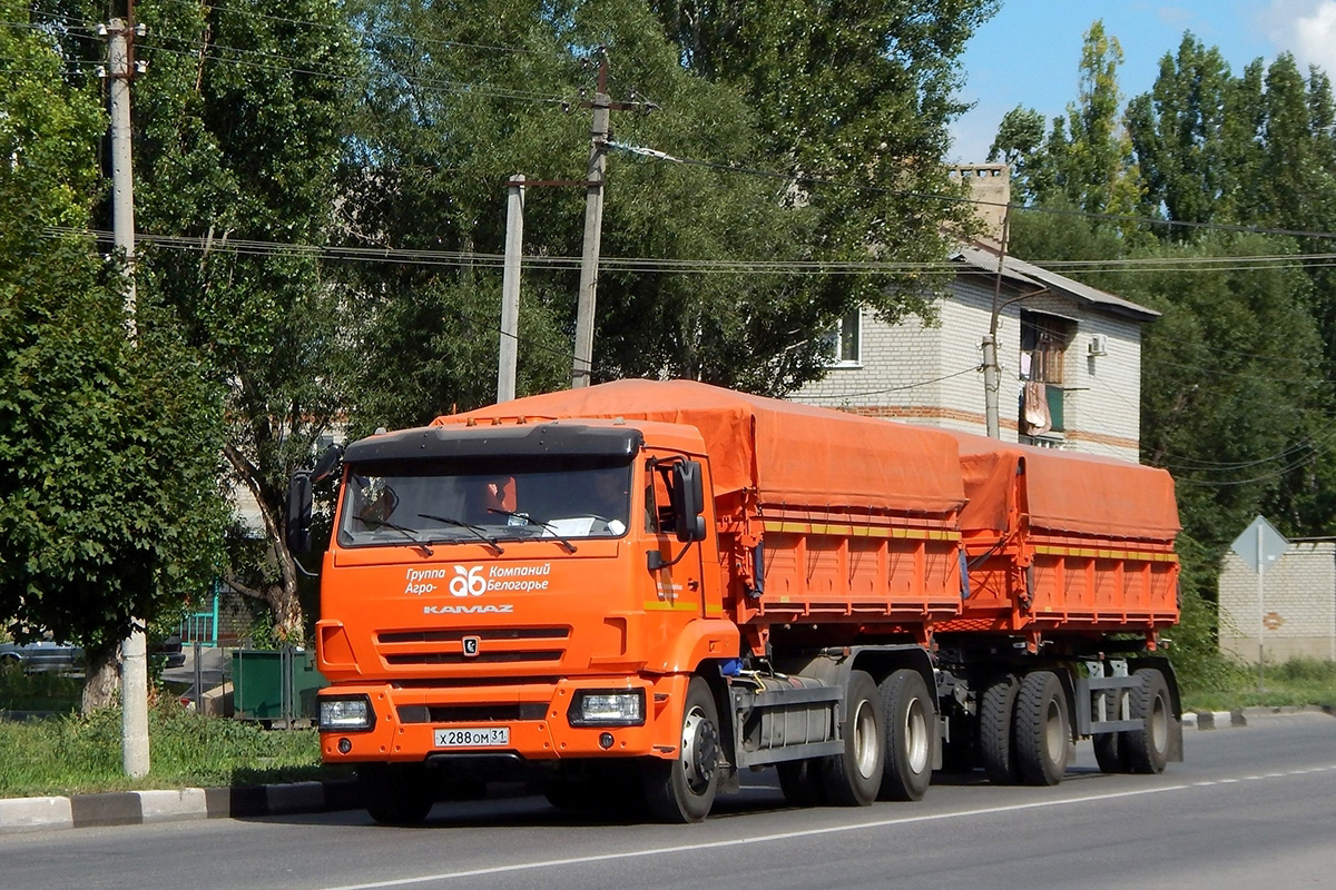 Белгородская область, № Х 288 ОМ 31 — КамАЗ-65115-5H(56)