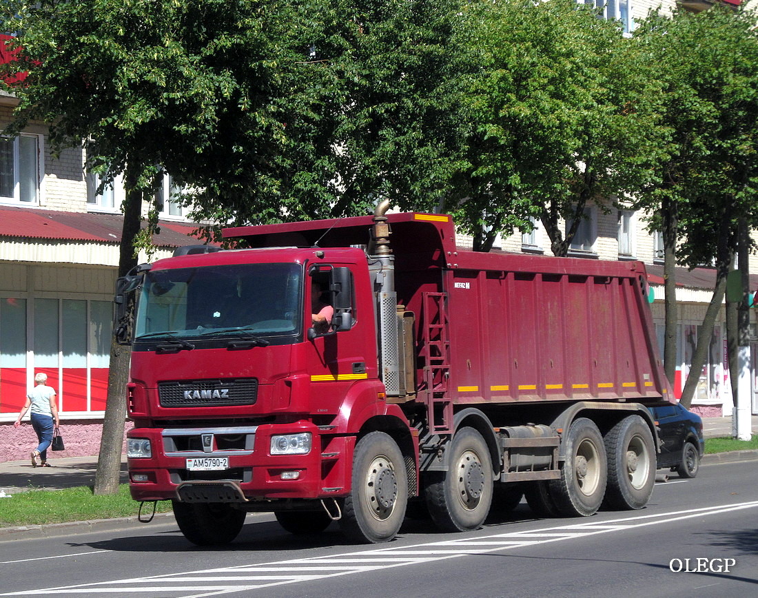 Витебская область, № АМ 5790-2 — КамАЗ-65801-T5(68)