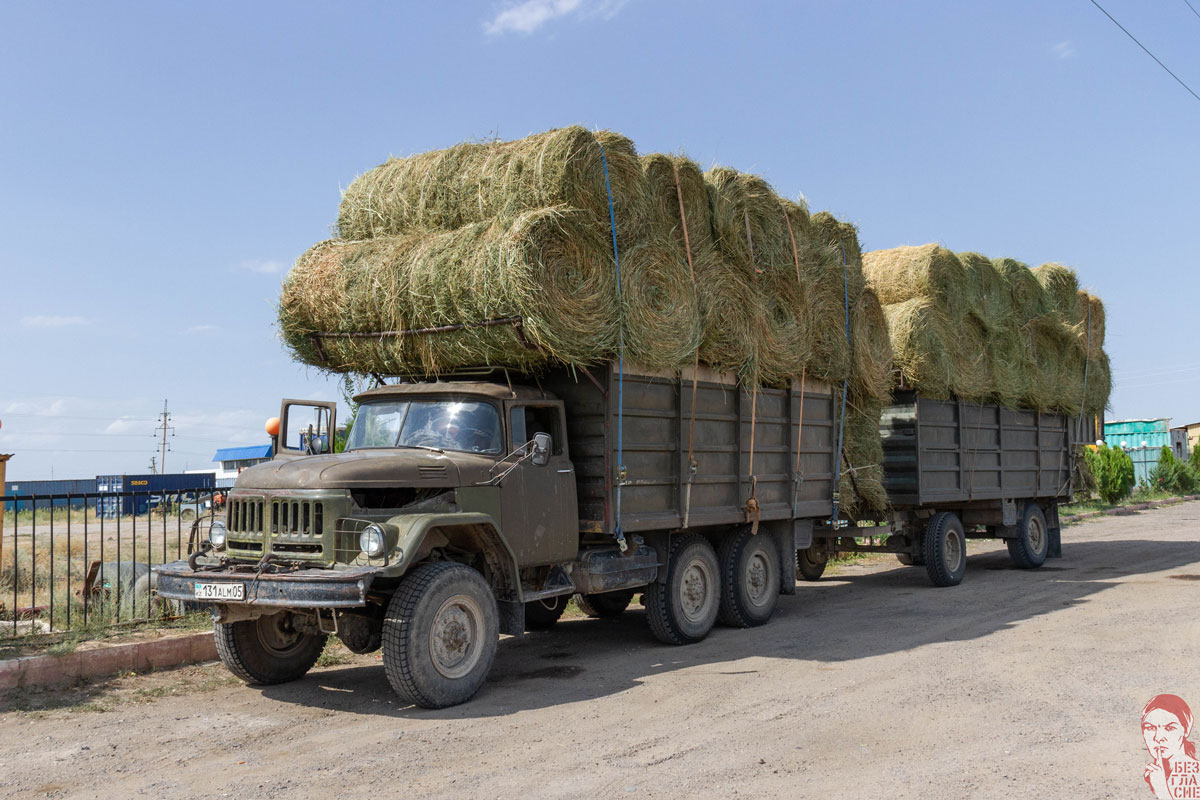 Алматинская область, № 131 ALM 05 — ЗИЛ-131 (общая модель)