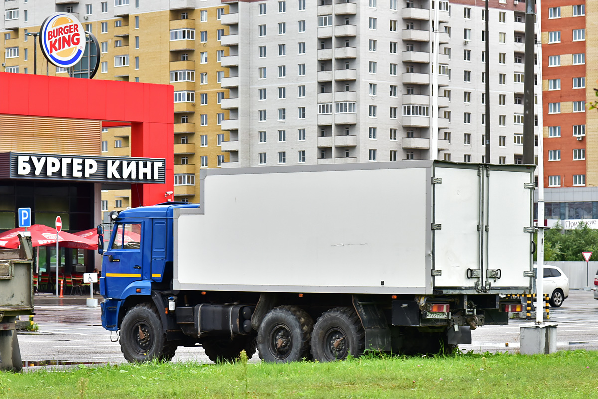 Ямало-Ненецкий автоном.округ, № В 222 СН 89 — КамАЗ-43118-46