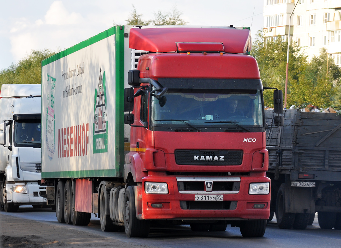 Омская область, № Х 311 УМ 55 — КамАЗ-5490-S5(87)