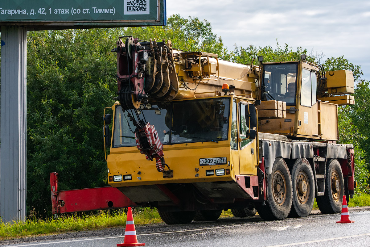 Архангельская область, № О 209 СУ 29 — Terex / Demag (общ.мод.) [W09-M02,M10]