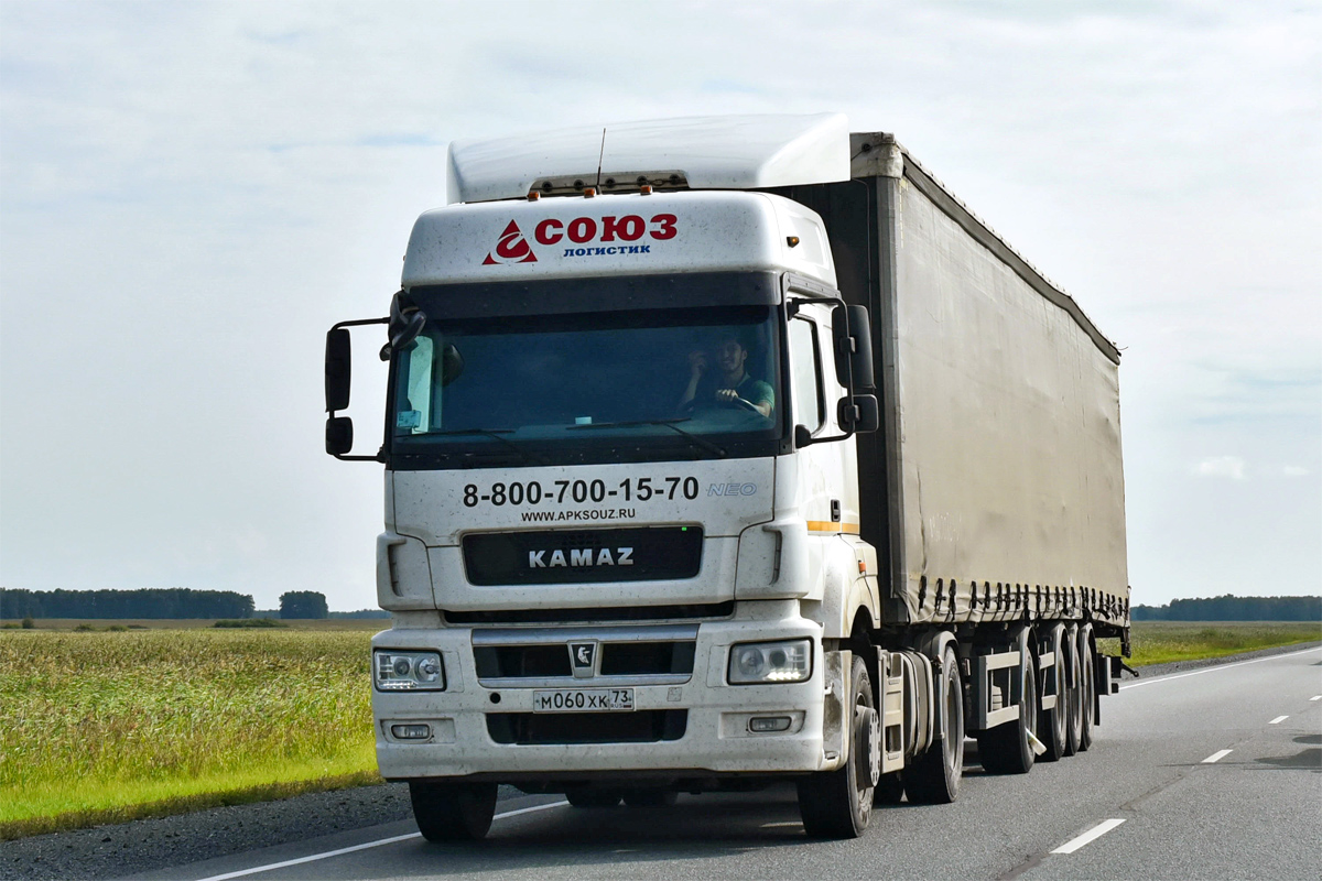 Ульяновская область, № М 060 ХК 73 — КамАЗ-5490-DC(87)