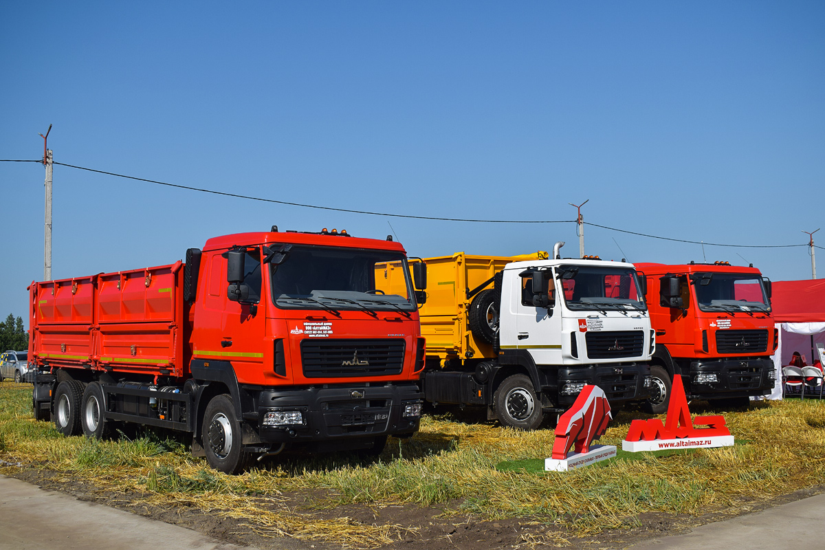 Алтайский край, № (22) Б/Н 0286 — МАЗ-6501 (общая модель); Алтайский край — Выставка "День Сибирского Поля 2024"; Транспортные средства без номеров (Алтайский край); Новая техника (Алтайский край)