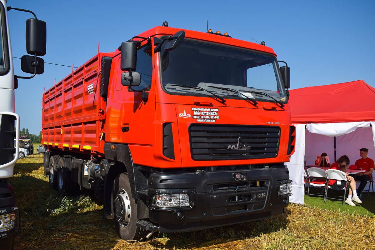 Алтайский край, № (22) Б/Н 0287 — МАЗ (общая модель); Алтайский край — Выставка "День Сибирского Поля 2024"; Транспортные средства без номеров (Алтайский край); Новая техника (Алтайский край)