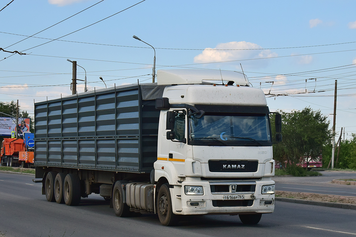 Ростовская область, № Т 616 ВР 761 — КамАЗ-5490-S5(87)