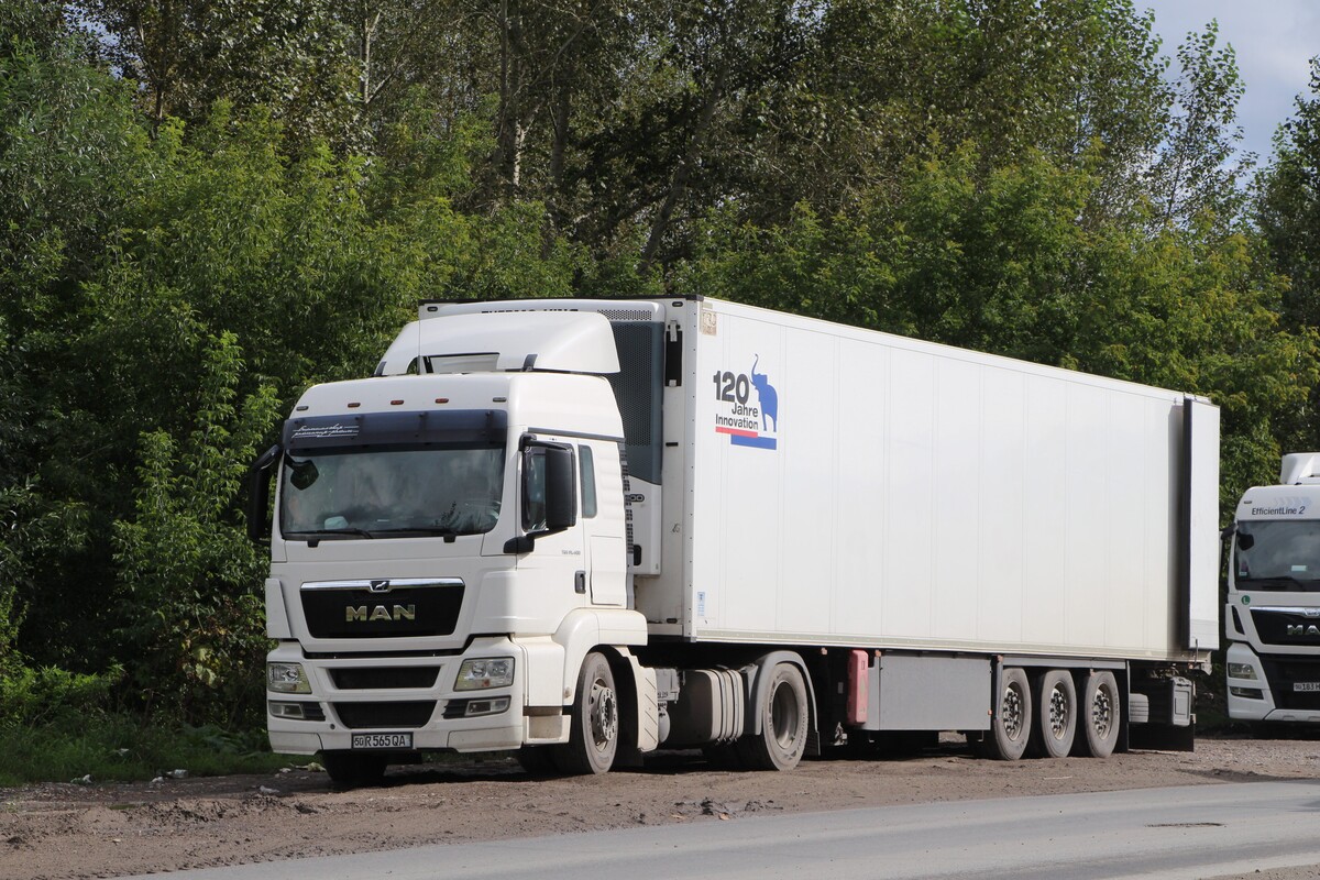 Узбекистан, № 50 R 565 QA — MAN TGS (общая модель)