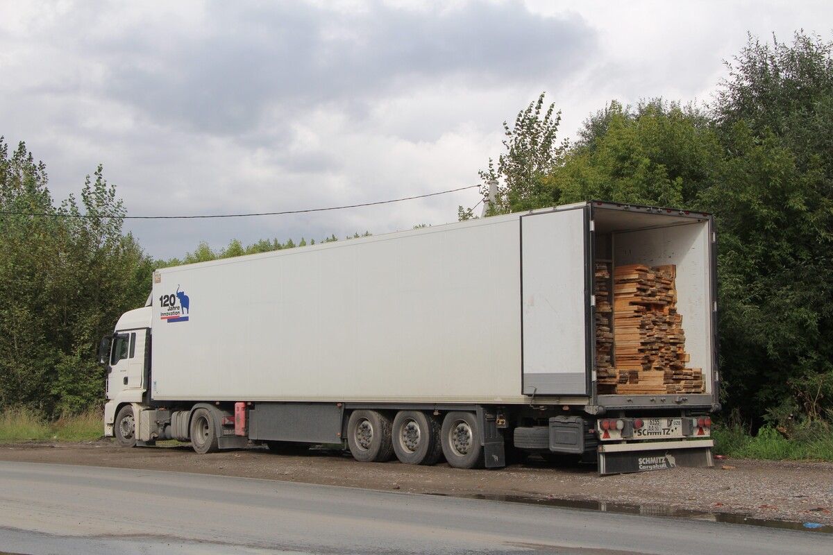 Узбекистан, № 6155 AA 50 — Schmitz Cargobull S.KO (SCB*S3B) общ.мод