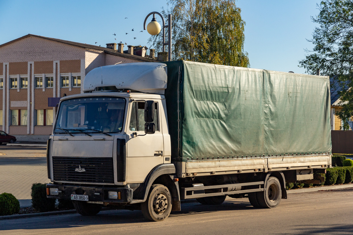 Брестская область, № AB 3850-1 — МАЗ-4370 (общая модель)
