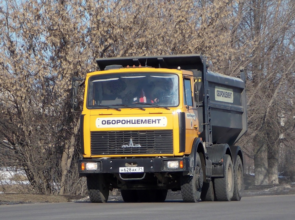 Белгородская область, № Н 628 АК 31 — МАЗ-5516A5