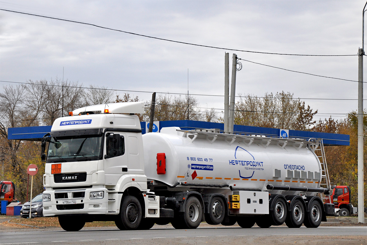 Алтайский край, № В 738 АУ 122 — КамАЗ-65209-S5(87)