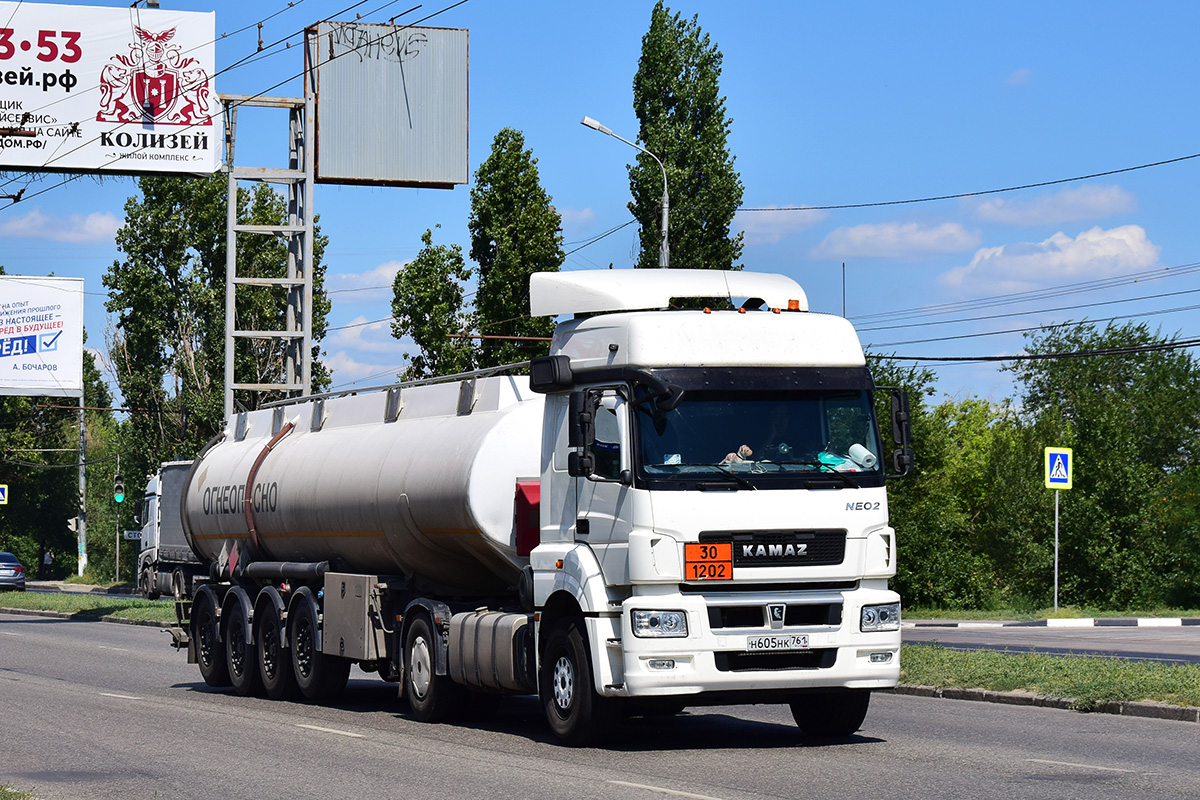 Ростовская область, № Н 605 НК 761 — КамАЗ-5490-S5(87)