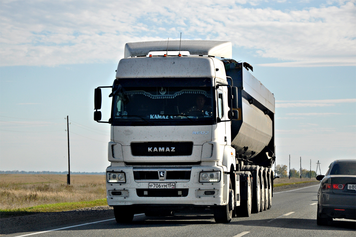 Новосибирская область, № Р 706 УМ 154 — КамАЗ-5490-S5(87)