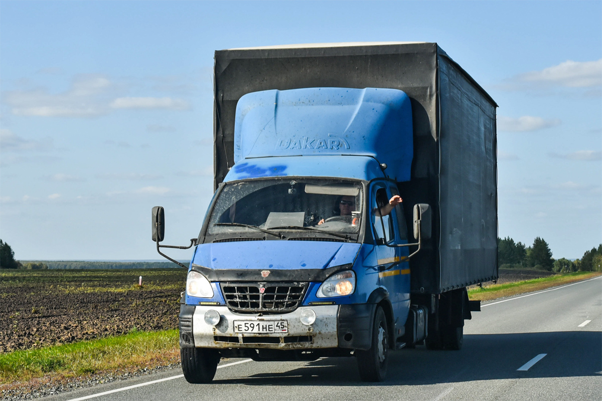 Курганская область, № Е 591 НЕ 45 — ГАЗ-331063 "Валдай"
