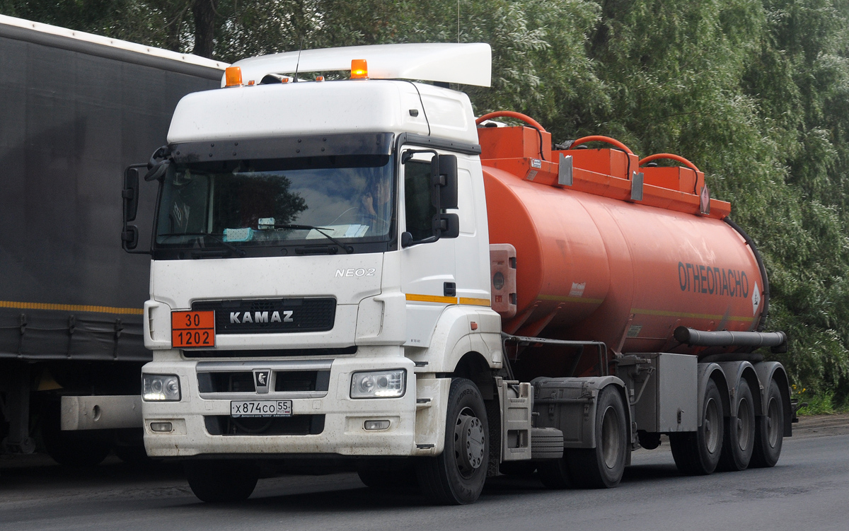 Омская область, № Х 874 СО 55 — КамАЗ-5490-S5(87)