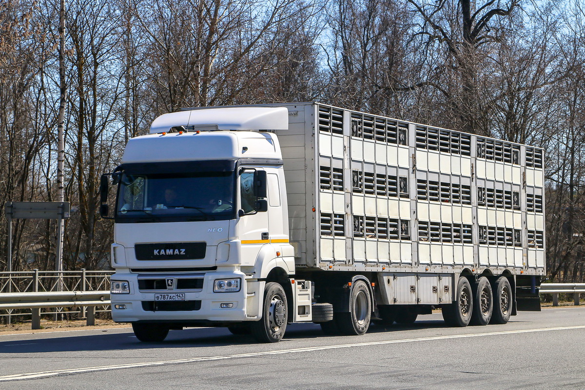 Ленинградская область, № В 787 АС 147 — КамАЗ-5490-S5(87)