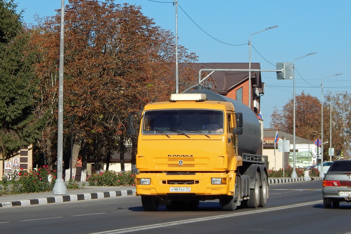 Белгородская область, № У 981 КР 31 — КамАЗ-65116-N3(78)