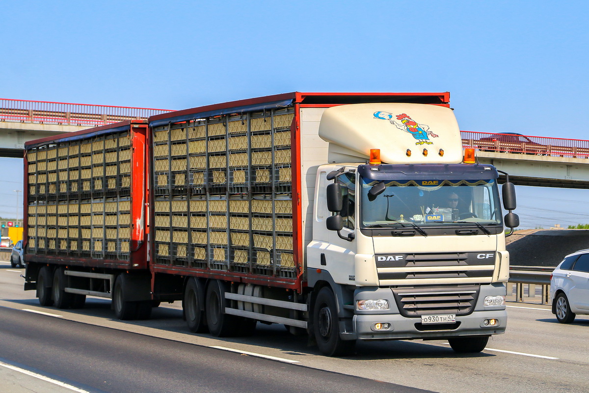 Ленинградская область, № О 930 ТН 47 — DAF CF85 FAS