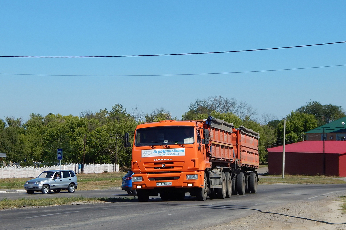 Воронежская область, № Е 317 АО 136 — КамАЗ-65115 (общая модель)