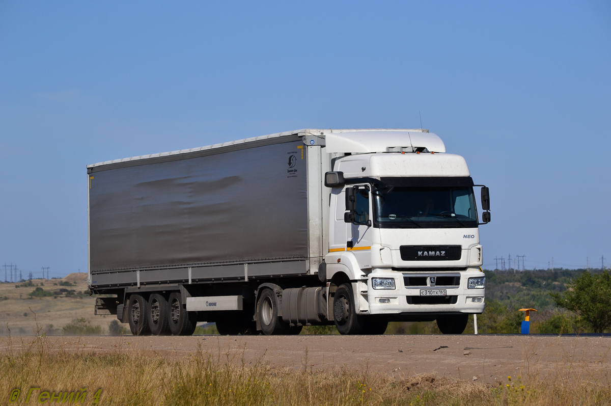 Ростовская область, № С 310 ТХ 161 — КамАЗ-5490-S5(87)