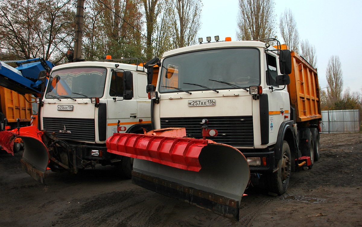 Воронежская область, № К 257 АХ 136 — МАЗ-5516X5