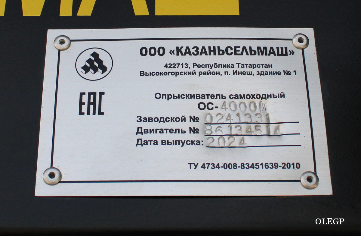 Татарстан, № (16) Б/Н СТ 0025 — Барс (общая модель)