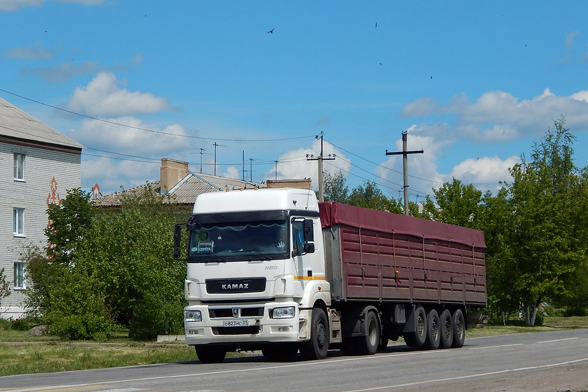 Белгородская область, № О 823 МС 31 — КамАЗ-5490-S5(87)