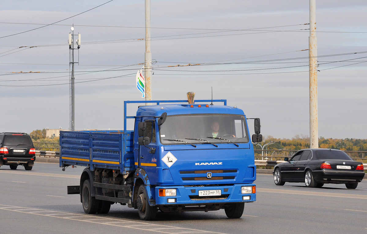 Омская область, № Т 223 МР 55 — КамАЗ-4308-R4(28)