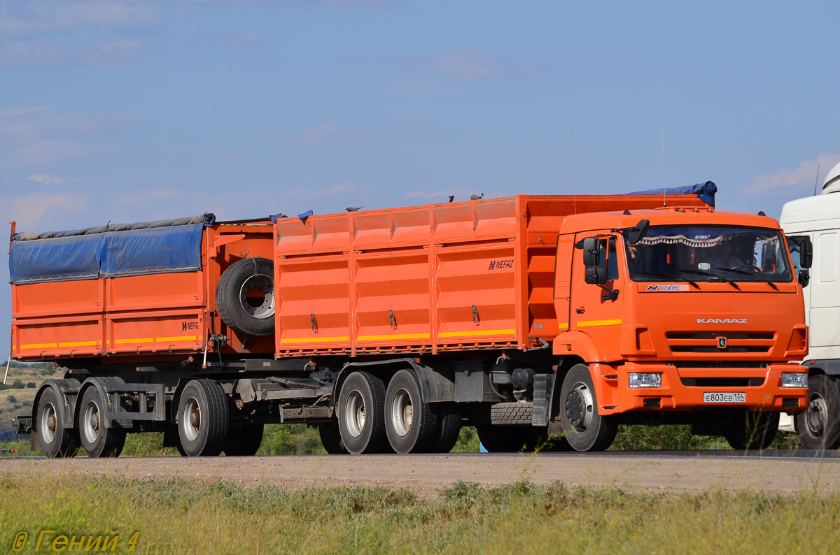 Волгоградская область, № Е 803 ЕВ 134 — КамАЗ-65115-L4(19)