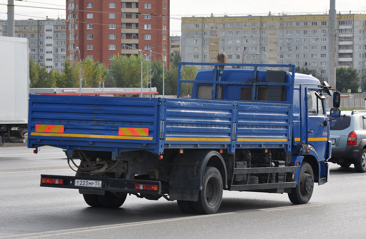 Омская область, № Т 223 МР 55 — КамАЗ-4308-R4(28)