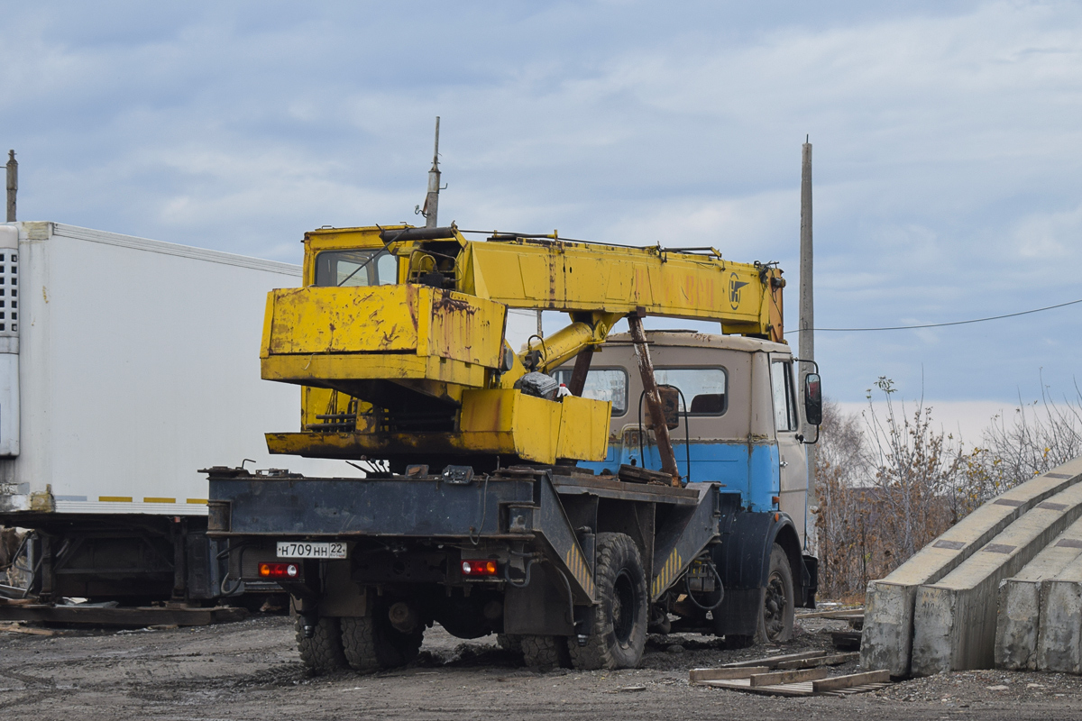 Алтайский край, № Н 709 НН 22 — МАЗ-5337 [533700]