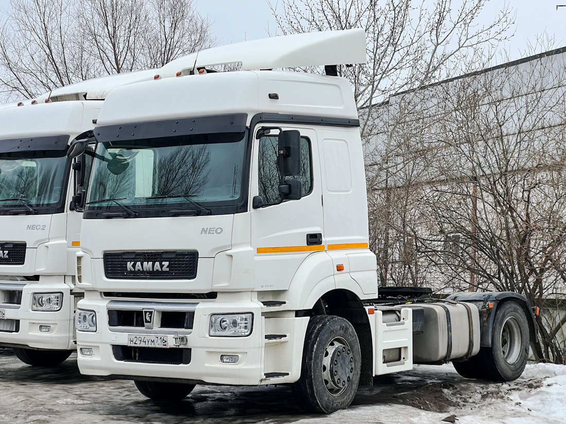 Татарстан, № Н 294 УМ 716 — КамАЗ-5490-DC(87)