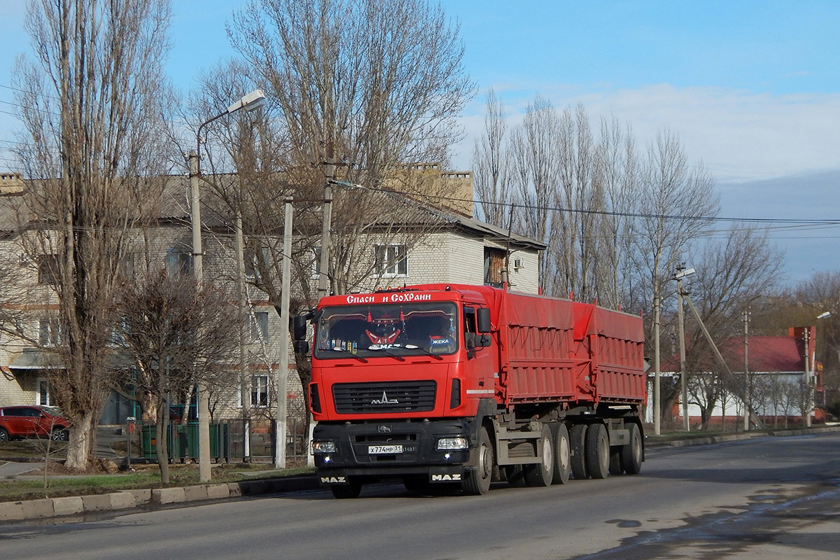 Белгородская область, № Х 774 МР 31 — МАЗ-65012J